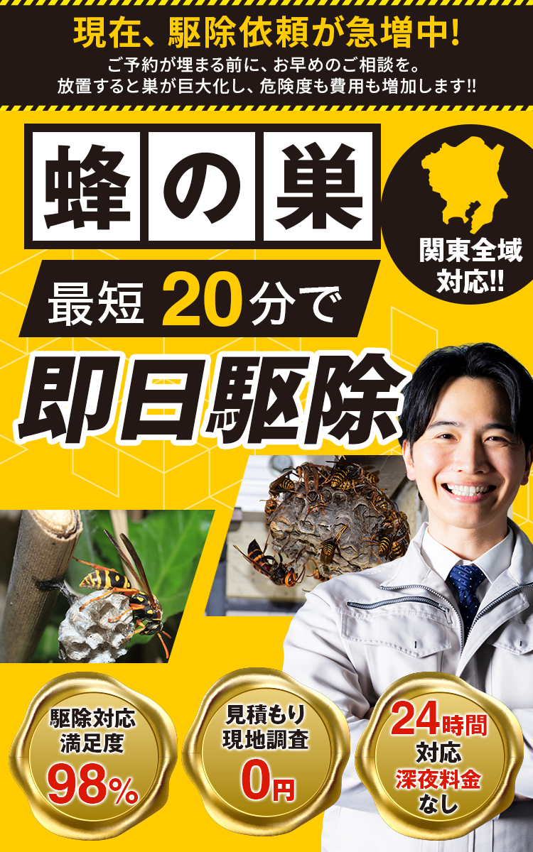 蜂の巣最短20分で即日駆除